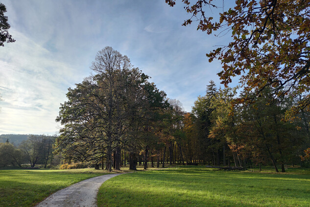 Zámecký park Červený Dvůr, 2024
